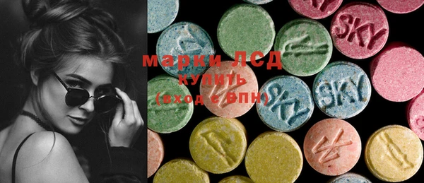 ECSTASY Алзамай
