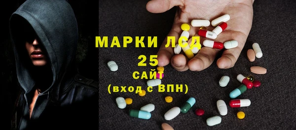 ECSTASY Алзамай