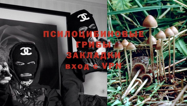 трава Алексеевка