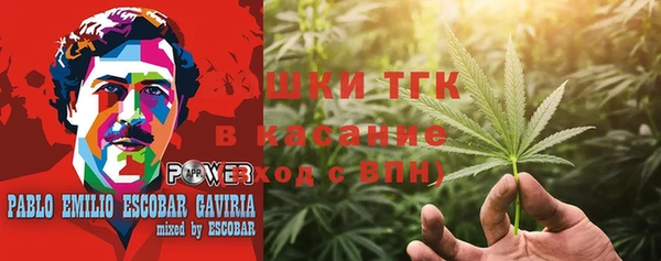 ECSTASY Алзамай