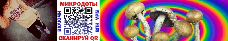 Галлюциногенные грибы MAGIC MUSHROOMS  Первоуральск 