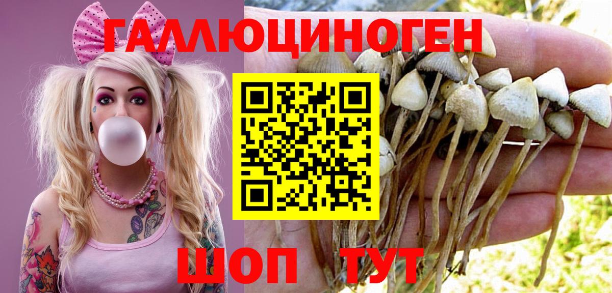 Первоуральск  Псилоцибиновые грибы GOLDEN TEACHER  цены наркотик  Вход с VPN  Псилоцибиновые грибы мухоморы 